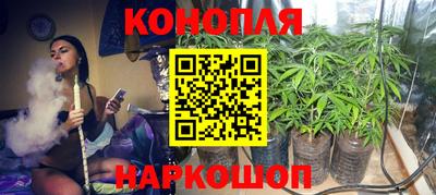 гашик Кулебаки