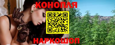 гашик Кулебаки