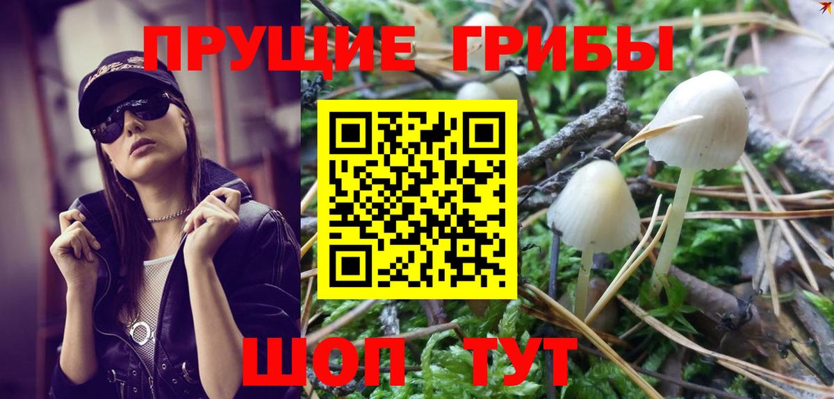 Псилоцибиновые грибы мицелий  Вход с VPN  Псилоцибиновые грибы MAGIC MUSHROOMS  Изобильный 