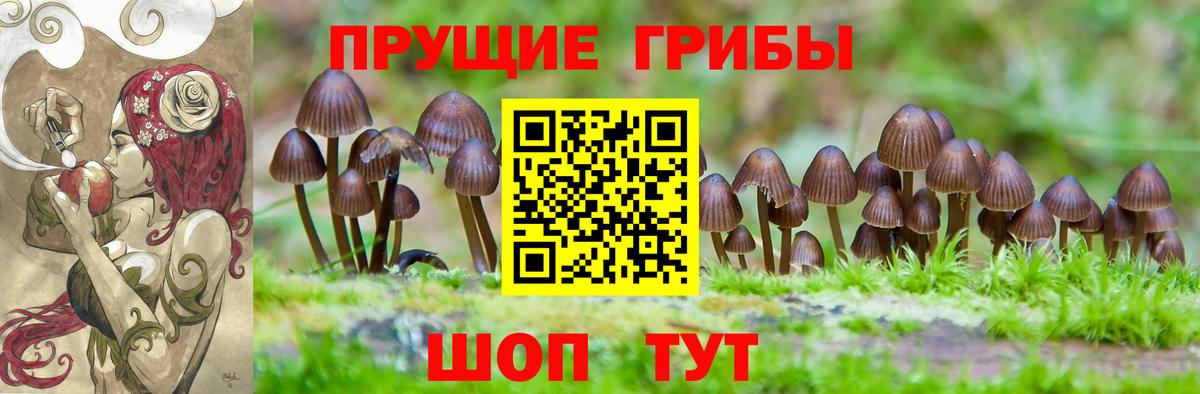 Псилоцибиновые грибы мухоморы Изобильный